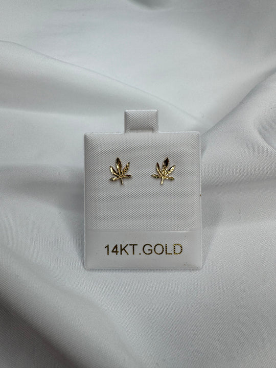 14k Gold Studs