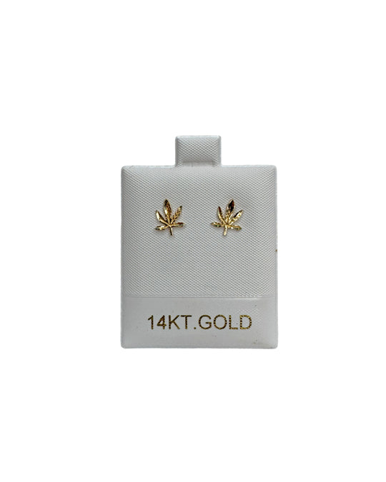 14k Gold Studs